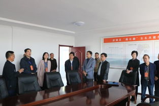 縣人大常委會視察全縣交通工作，聚焦百墩實(shí)業(yè)發(fā)展成效